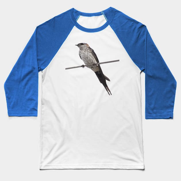 Bird On A Wire Red-Rumped Swallow Vector Art Baseball T-Shirt by taiche